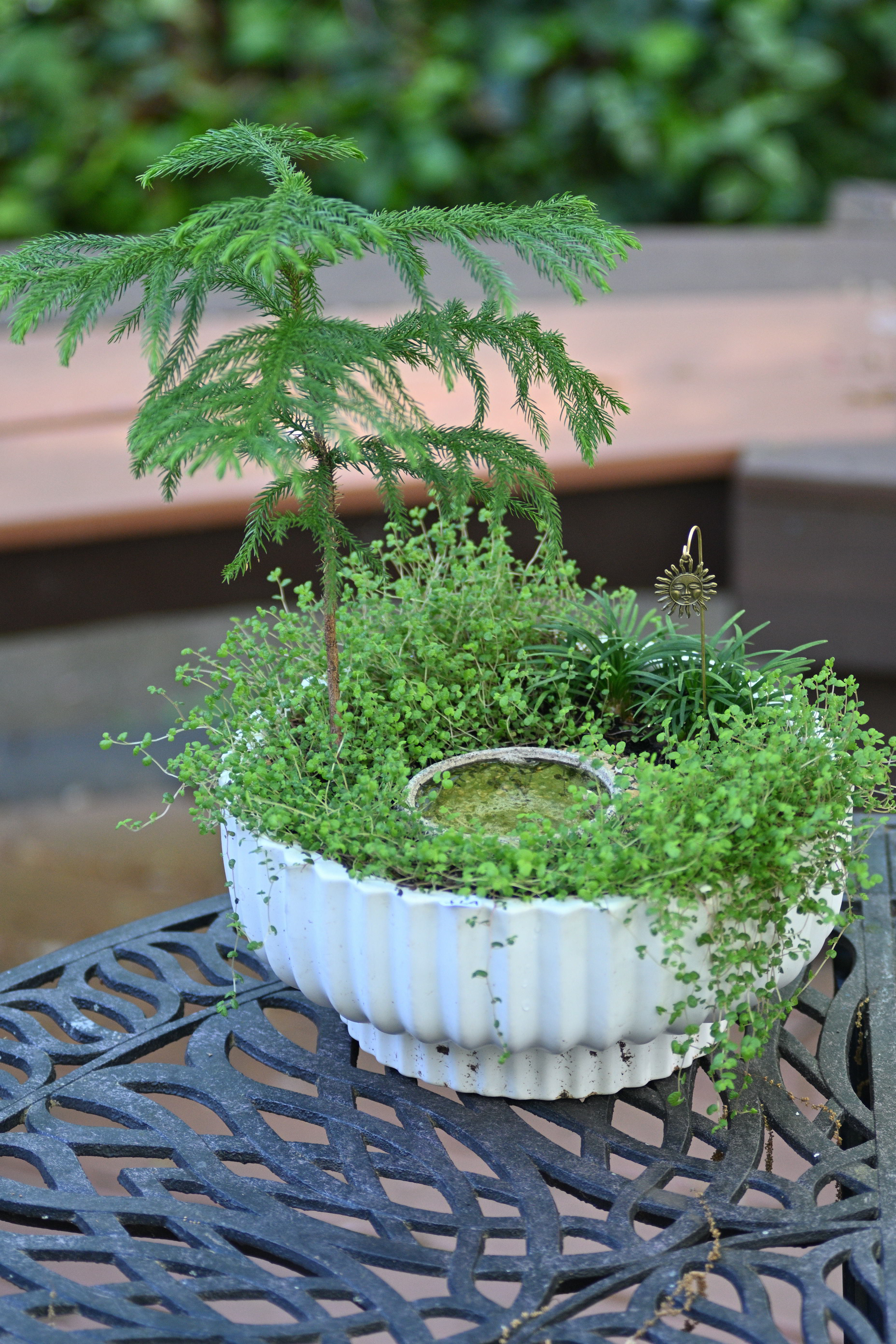 Miniature Garden Design #1