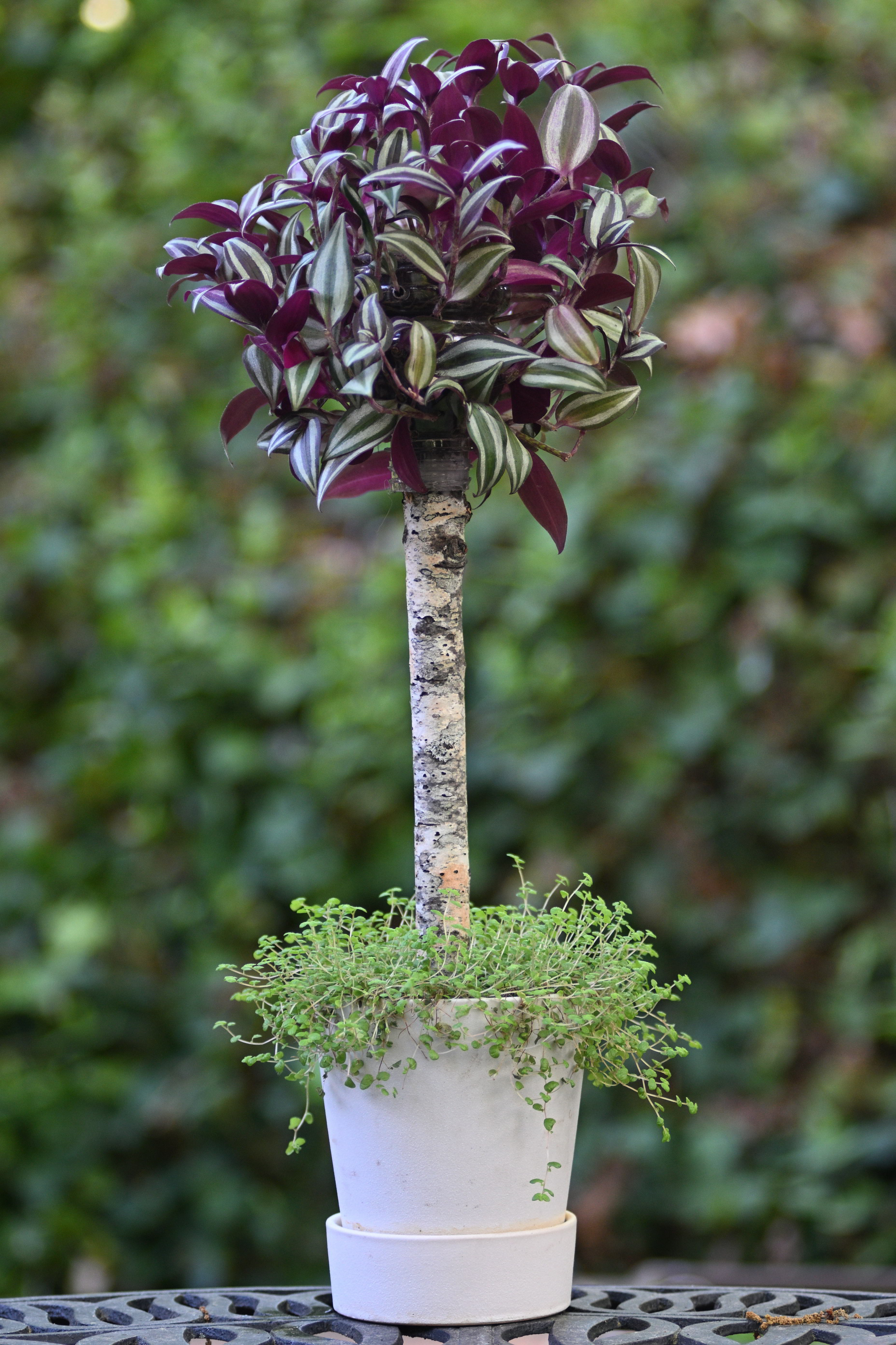 Miniature Garden Design #2