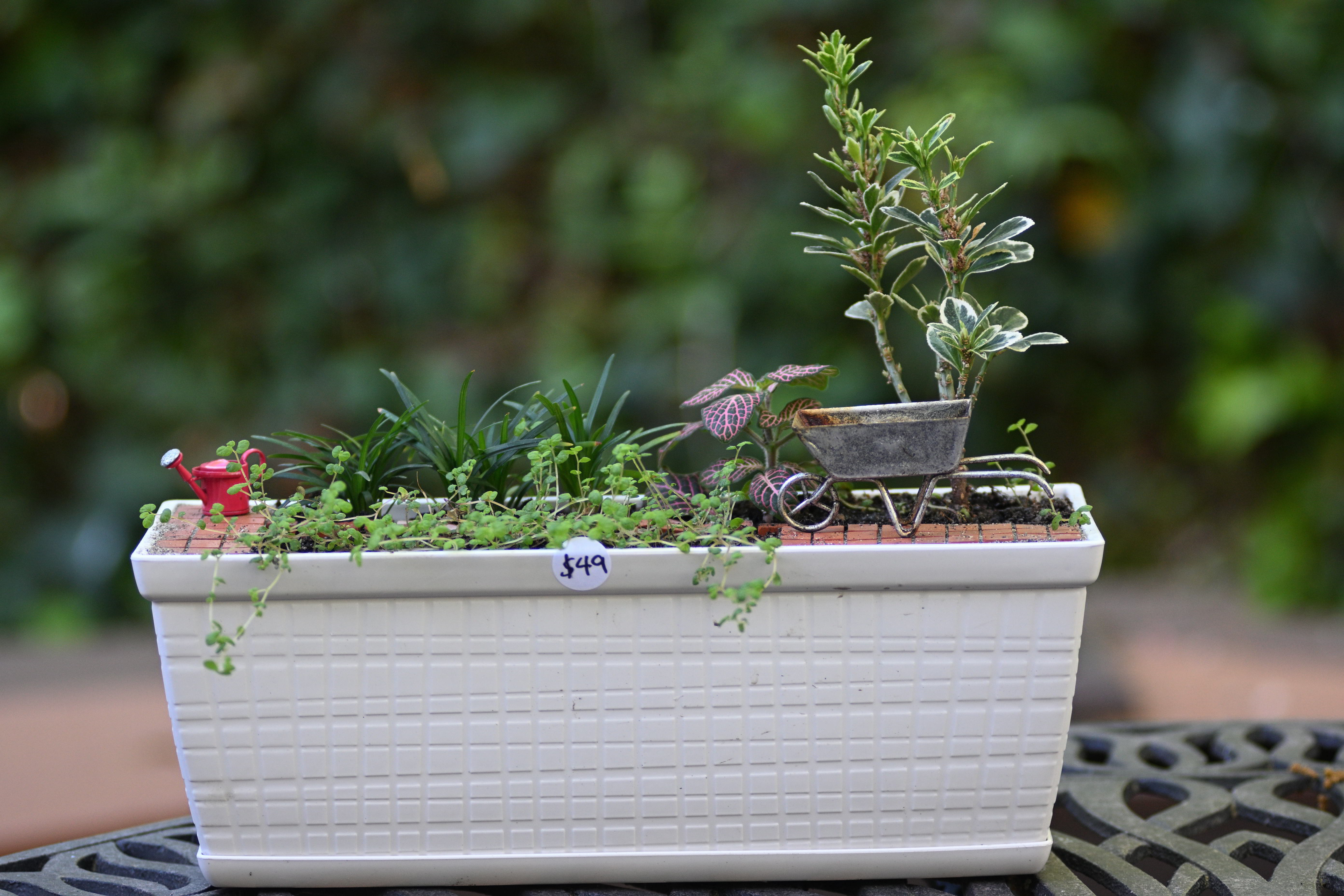 Miniature Garden Design #3