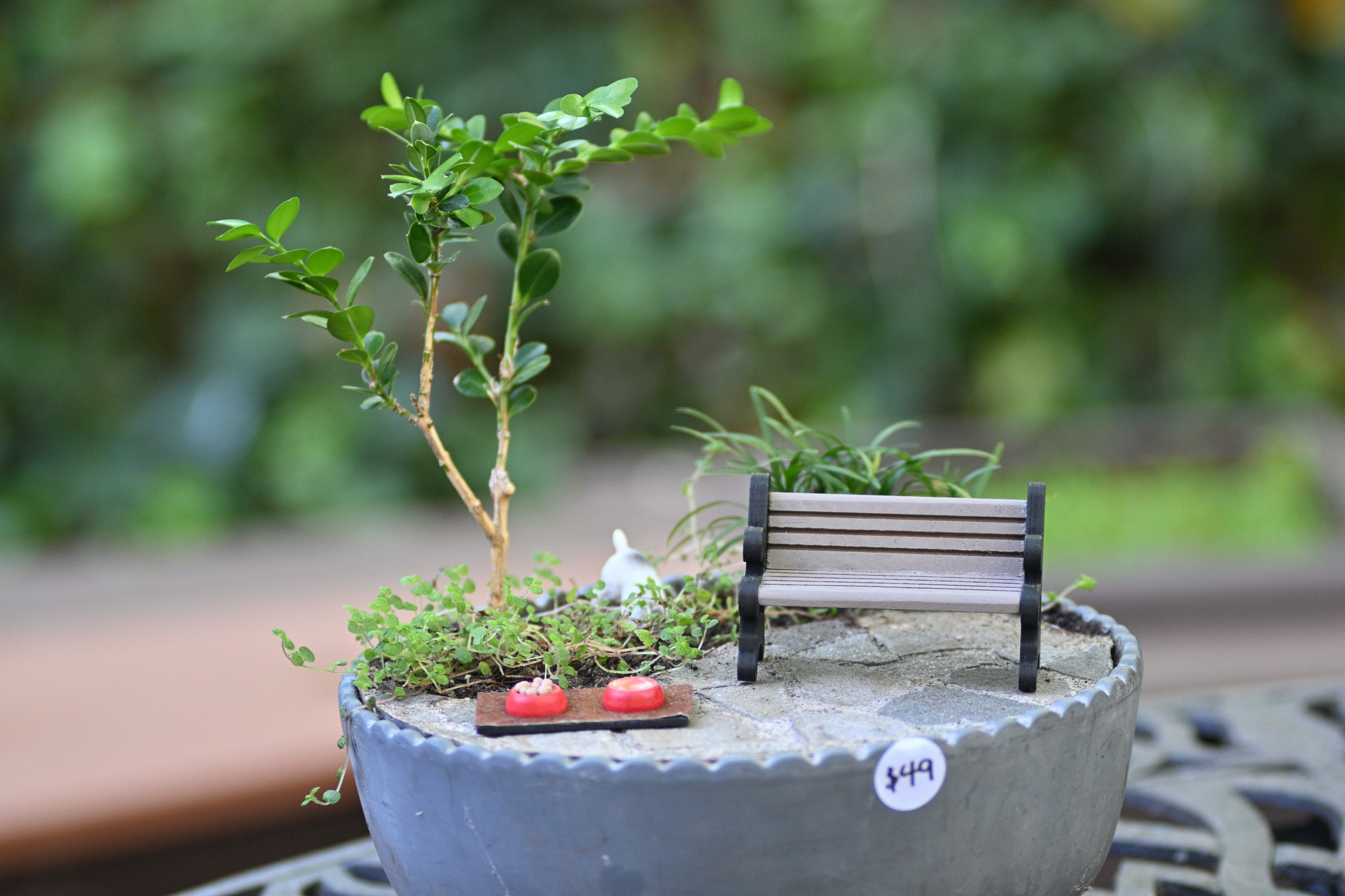 Miniature Garden Design #4